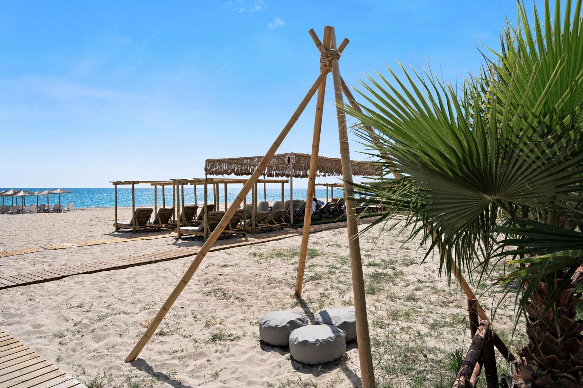 Iguana Studio 4 Preveza Luaran gambar