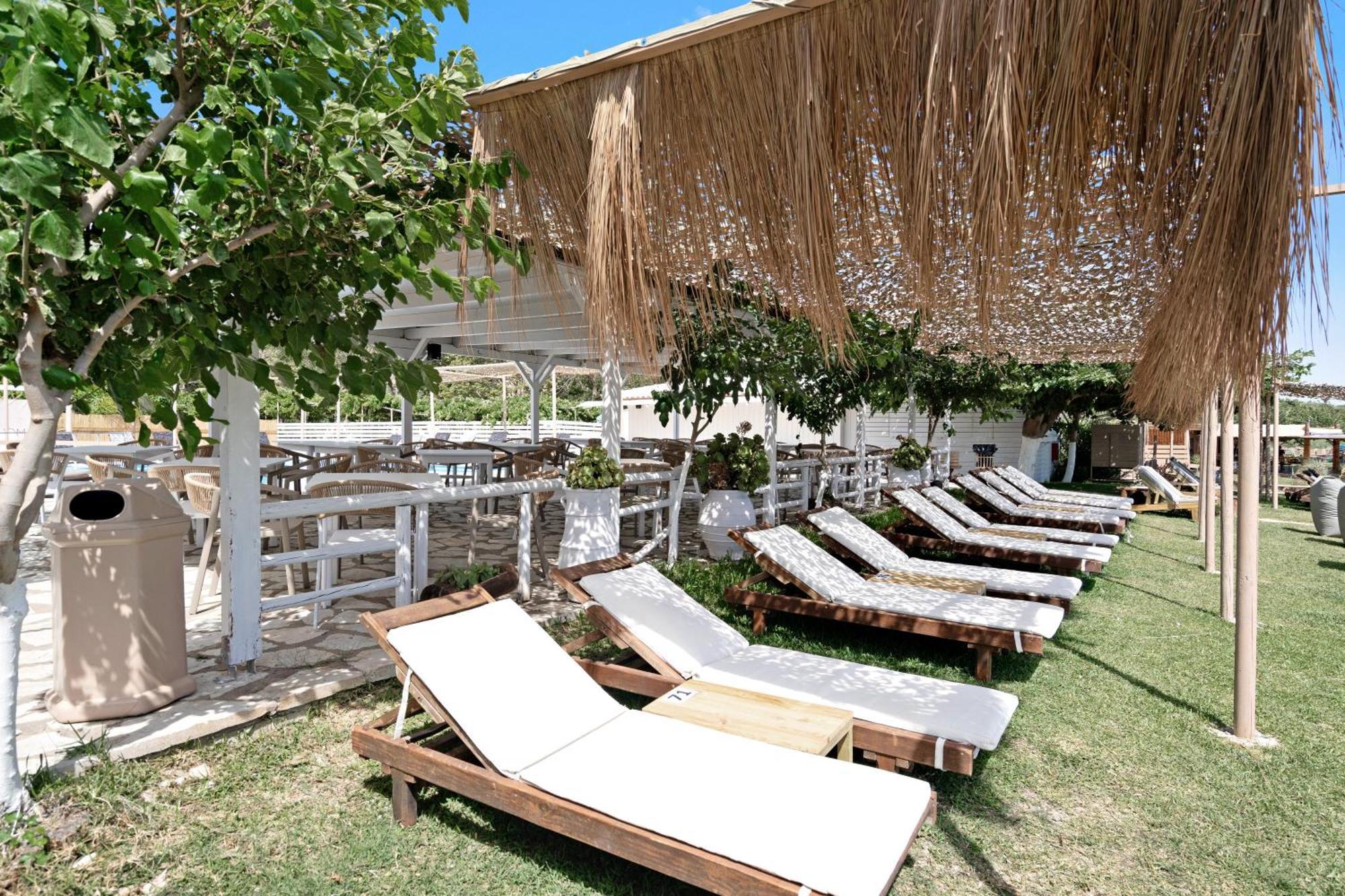 Iguana Studio 4 Preveza Luaran gambar