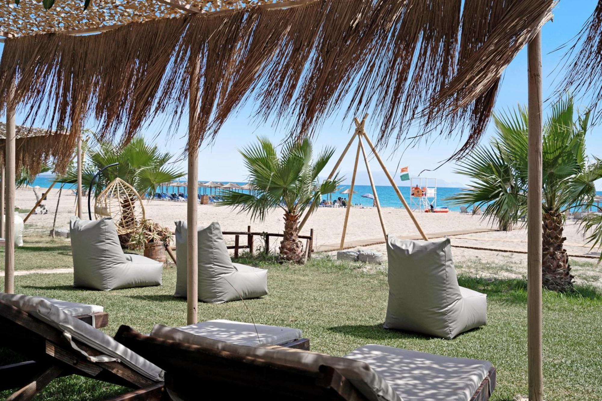 Iguana Studio 4 Preveza Luaran gambar